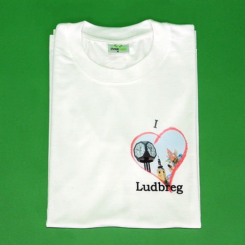 T-shirt Ludbreg in picture