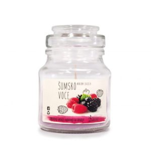 Scented candle (forest fruits)